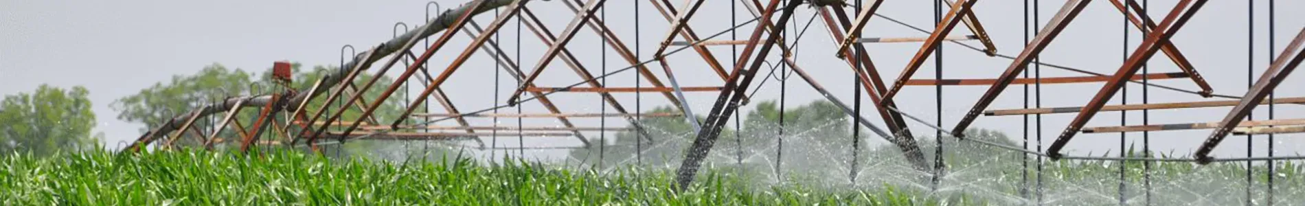 field-irrigation