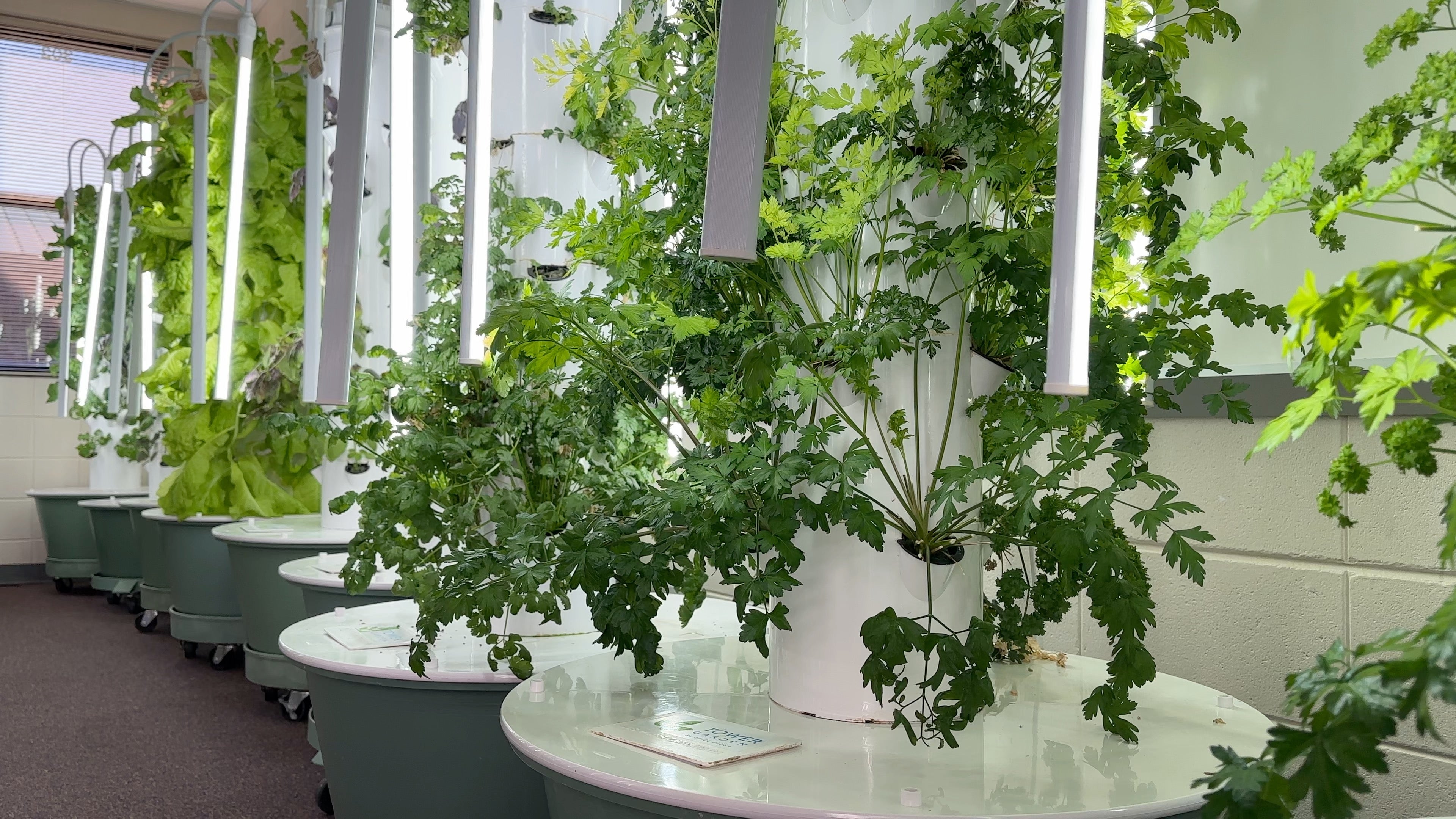 Jake Harvey Mossy Creek Middle hydroponics lab