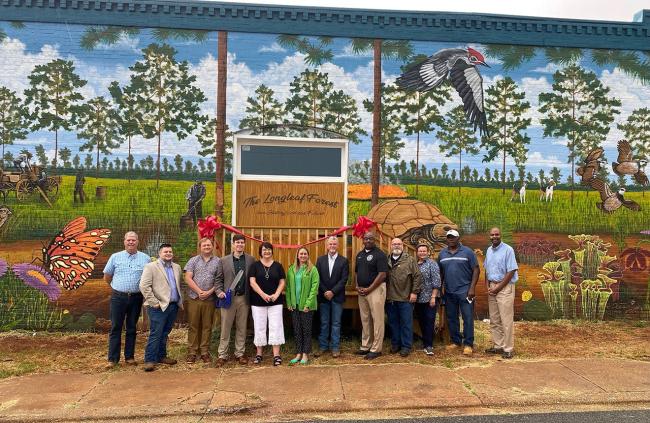 Flint Energies to fund mural projects in Ellaville and Fort Valley