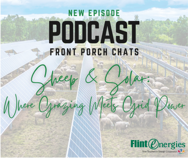 Sheep and Solar: Where Grazing Meets Grid Power