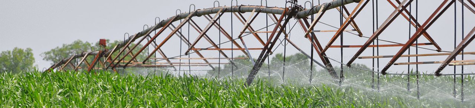 Irrigating a field